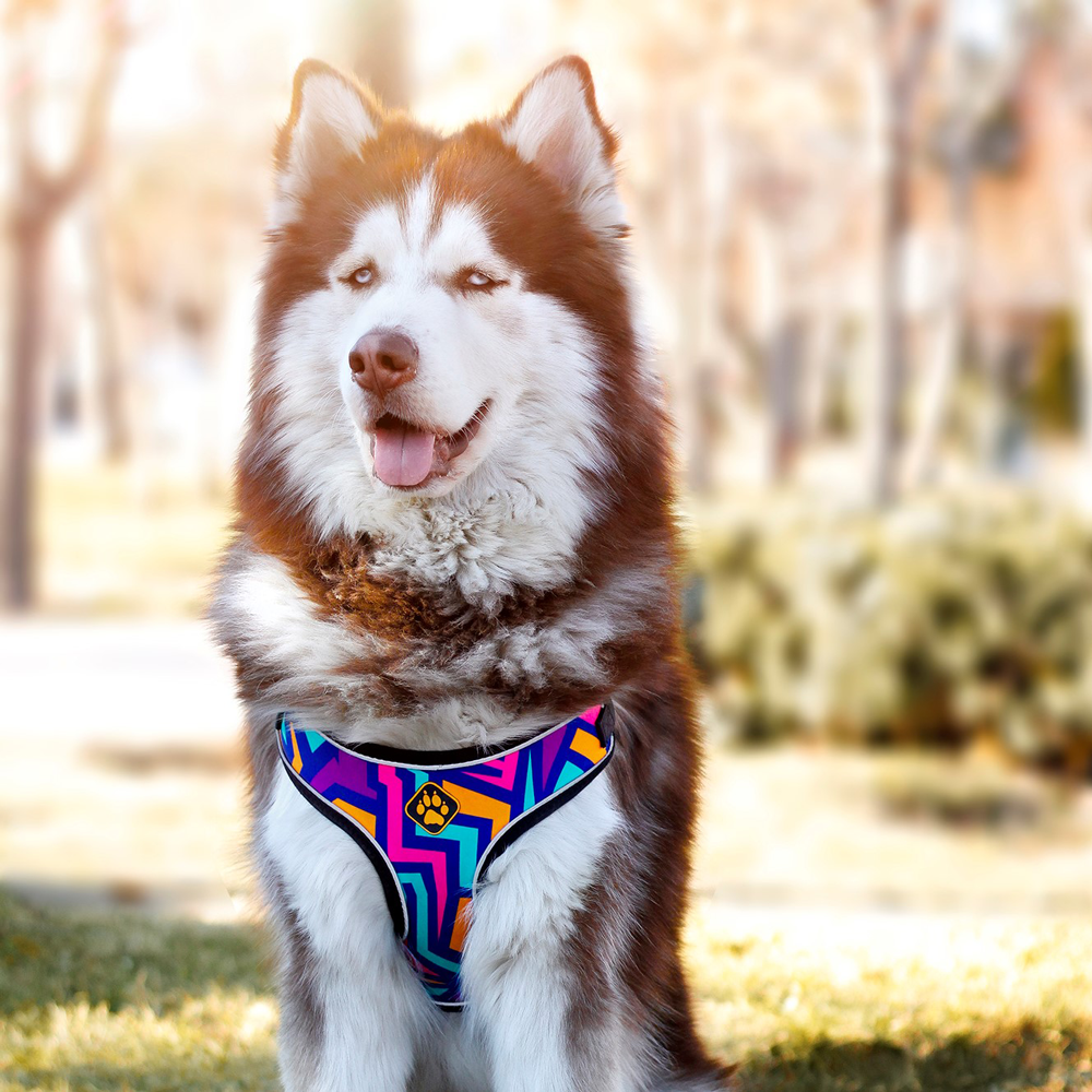 Spirit Dog Harness