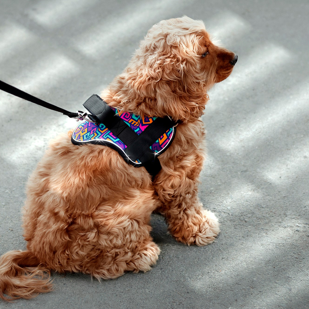 Rips Dog Harness