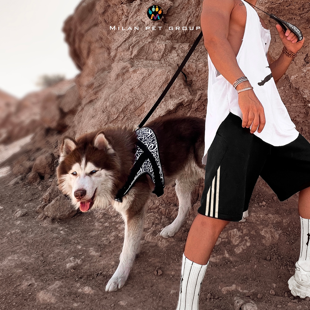 Marvel Dog Harness