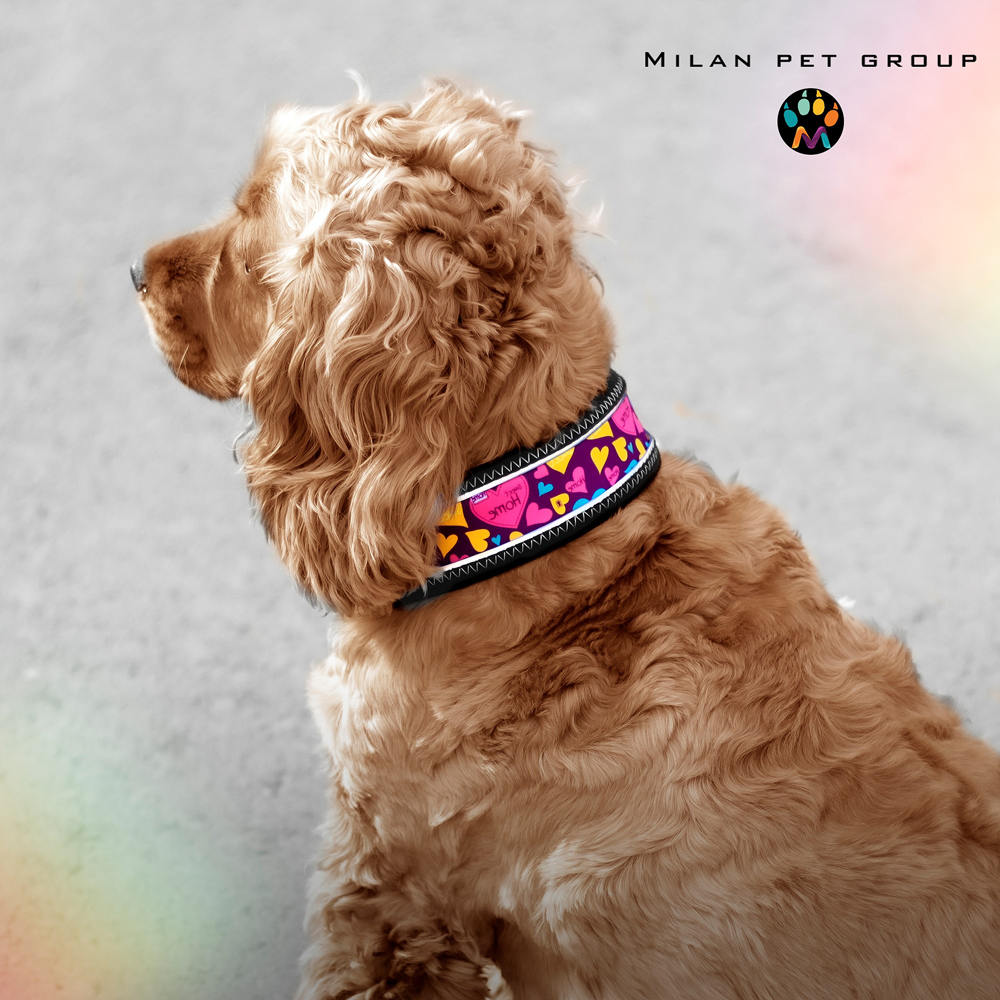 Fito dog collar